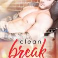 clean break lisa suzanne