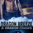 dragon chases rinelle grey