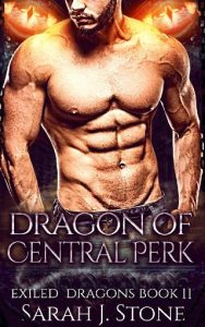 dragon of central perk, sarah j stone, epub, pdf, mobi, download