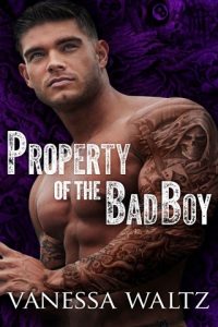 property of the bad boy, vanessa waltz, epub, pdf, mobi, download