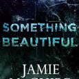 something beautiful jamie mcguire