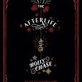 the afterlife of holly chase cynthia hand