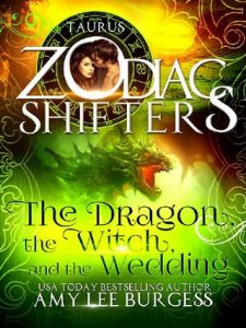 the dragon the witch and the wedding, amy lee burgess, epub, pdf, mobi, download