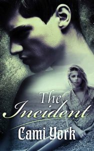 the incident, jordan silver, cami york, epub, pdf, mobi, download