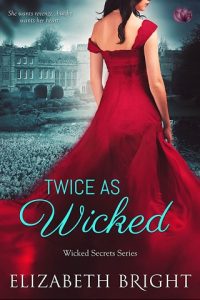 twice as wicked, elizabeth bright, epub, pdf, mobi, download