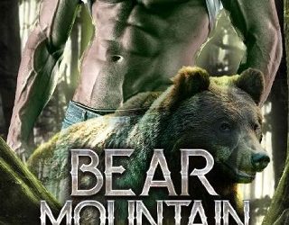 bear mountain bride sky winters