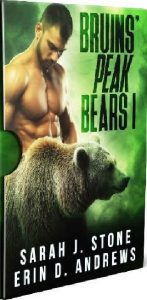 bruins' peak bears, sarah j stone, epub, pdf, mobi, download