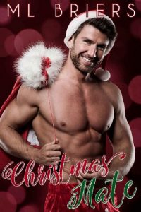 christmas mate, ml briers, epub, pdf, mobi, download