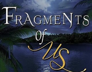 fragments of us lashawn vasser