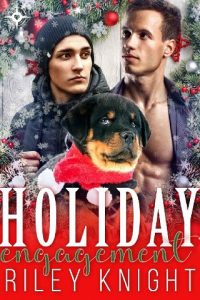 holiday engagement, riley knight, epub, pdf, mobi, download