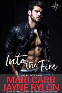 into the fire, mari carr, epub, pdf, mobi, download