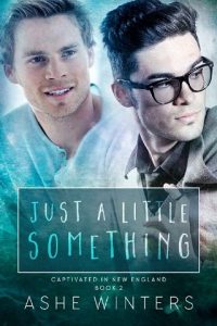 just a little something, ashe winters, epub, pdf, mobi, download