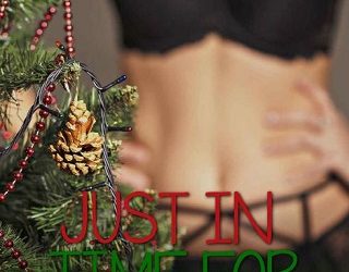 just in time for christmas vera quinn