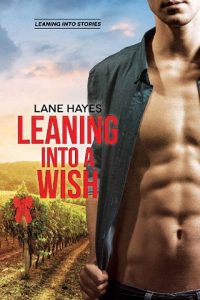 leaning into a walsh, lane hayes, epub, pdf, mobi, download