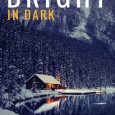 the bright in dark missy welsh