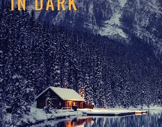 the bright in dark missy welsh