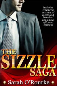 the sizzle saga, sarah o'rourke, epub, pdf, mobi, download
