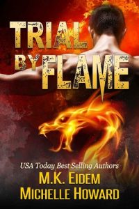 trial by flame, mk eidem, epub, pdf, mobi, download