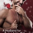 a husband for santa claus missy welsh