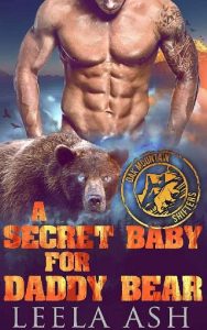 a secret baby for daddy bear, leela ash, epub, pdf, mobi, download