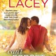 can't forget you rachel lacey