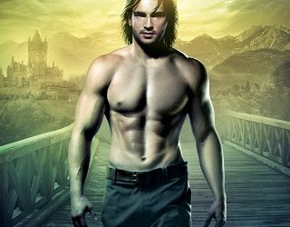 heart sight robin d owens