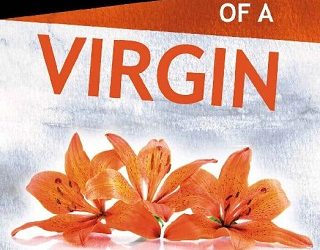 misadventures of a virgin meredith wild