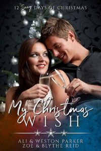 my christmas wish, ali parker, epub, pdf, mobi, download