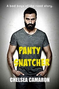 panty snatcher, chelsea camaron, epub, pdf, mobi, download