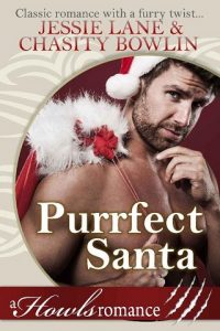 purrfect santa, jessie lane, epub, pdf, mobi, download