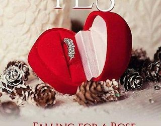 she said yes stephanie nicole norris