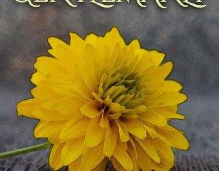 too gentlemanly timothy underwood