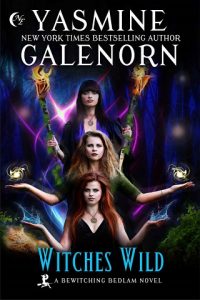 witches wild. yasmine galenorn, epub, pdf, mobi, download
