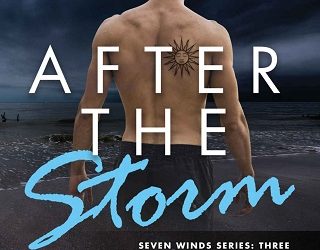 after the storm katy ames