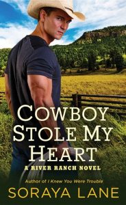 cowboy stole my heart, soraya lane, epub, pdf, mobi, download