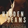 hidden seams alessandra torre