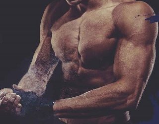 the breeder lynne silver