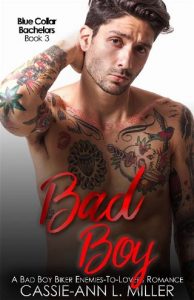 bad boy, cassie-ann l miller, epub, pdf, mobi, download