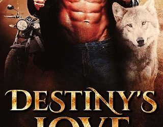 destiny's love preston walker