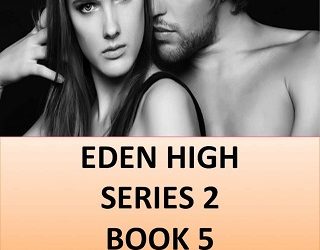 eden high 5 jordan silver