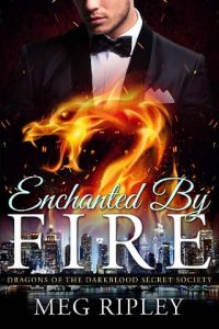 enchanted by fire, meg ripley, epub, pdf, mobi, download