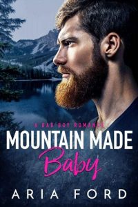 mountain made baby, aria ford, epub, pdf, mobi, download