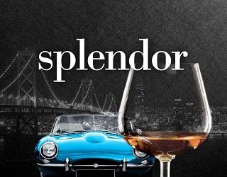 splendor janet nissenson