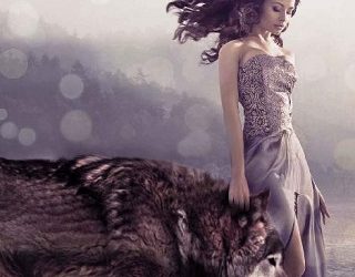 wolves town kelly lucille