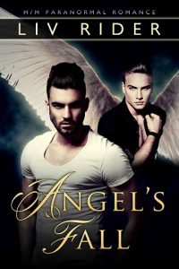 angel's fall, liv rider, epub, pdf, mobi, download