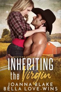 inheriting the virgin, joanna blake, epub, pdf, mobi, download