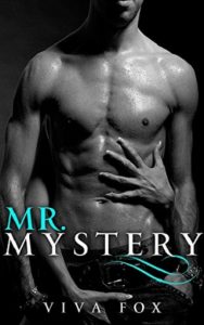 mr mystery, hazel parker, epub, pdf, mobi, download