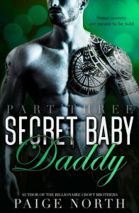 secret baby daddy 3, paige north, epub, pdf, mobi, download