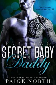 secret baby daddy part 2, paige north, epub, pdf, mobi, download