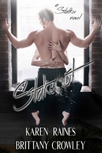 stakeout, karen raines, epub, pdf, mobi, download
